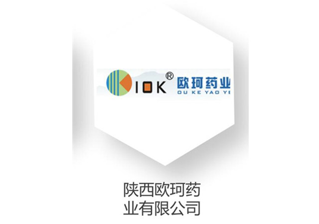 �����͑�(h��)